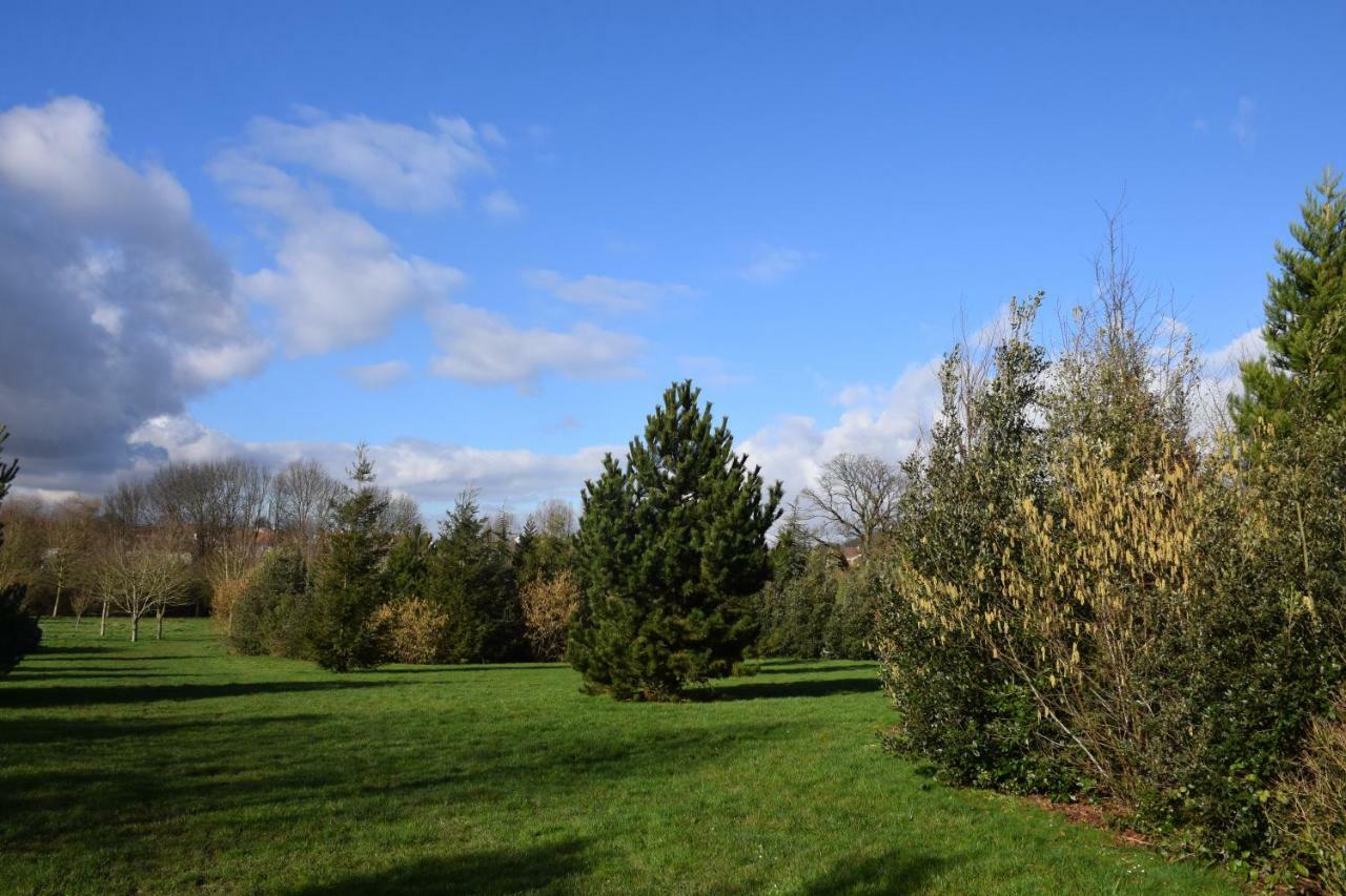 Appartement Avec Rez De Jardin A Disneyland Montévrain Kültér fotó